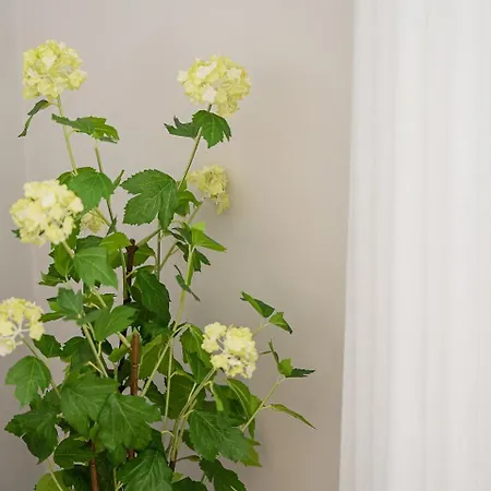 Apartamento Guestready - Modern Comfort In Historic Aveiro